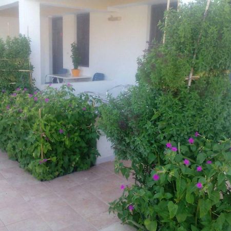 Villas Irene 5 Family Apartments Kokkini Hani Экстерьер фото